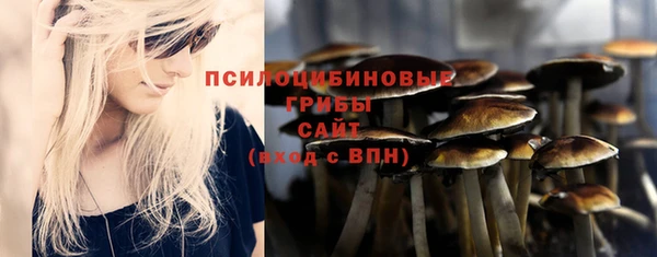экстази Белокуриха