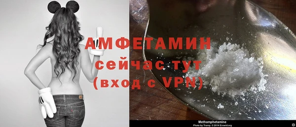 молекула духа Белоозёрский