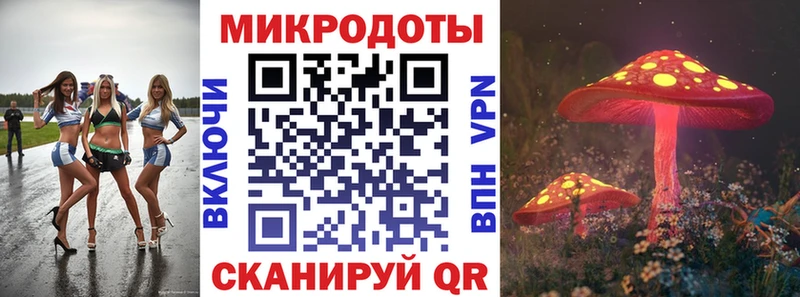 Галлюциногенные грибы прущие грибы  Пятигорск 